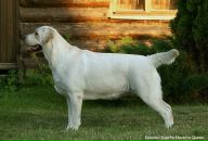 Фотография Cherkasoff Kirill