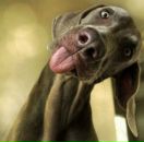 Фотография Уткиной Ксении