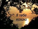 Віка Лось фотография #16 (источник - https://vk.com/id139870357)