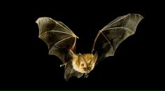 Фотография Кузнецова Александра