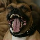 Фотография Серовой Анны