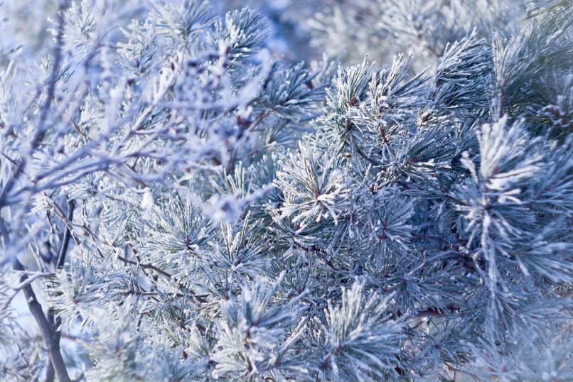 Антон Девяткин фотография #24