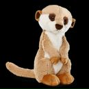 Фотография Островского Евгения