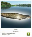 Андрій Рабодзей фотография #15 (источник - https://vk.com/id123176215)