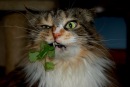 Фотография Ситниковой Yuu