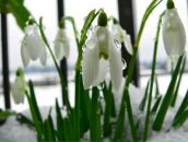 Олінька Балаєскул фотография #24 (источник - https://vk.com/id118033392)