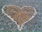 Фотография Говоровой Светланы