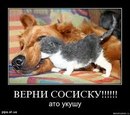 Артур Такварелі фотография #30 (источник - https://vk.com/id131804079)
