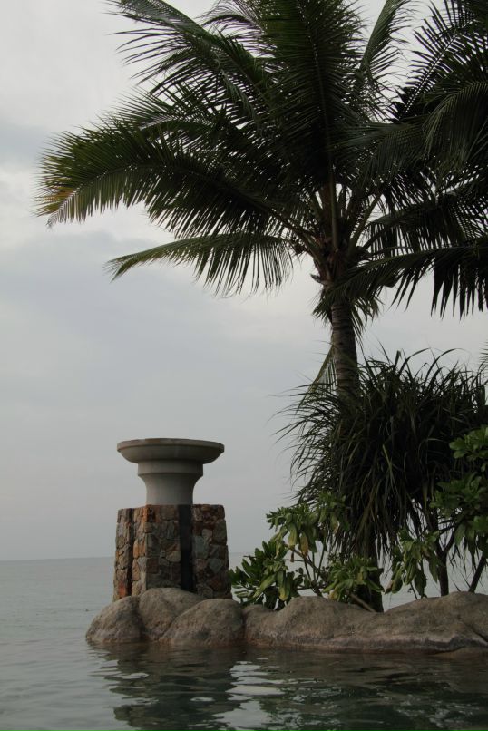 Дмитрий Симонов фотография #19