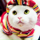 Фотография Беккер Евгении
