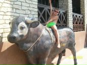 Міша Петренко фотография #1