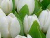 Мирослава Колодій фотография #36 (источник - https://vk.com/id74724043)