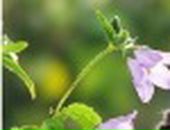 Ольчік Позетіффф фотография #3 (источник - https://vk.com/id33643448)