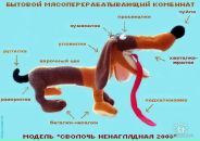 Фотография Быковской Аси