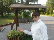 Фотография  