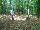 Віталій Панасюк фотография #14 (источник - https://vk.com/id67183575)