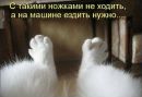 Дашутка Бабікова фотография #6 (источник - https://vk.com/id165368244)