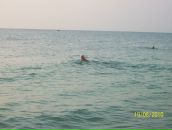 Фотография Коробициной Гали