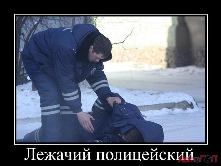Денис Боднар фотография #5