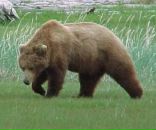 Фотография Леонова Юрия