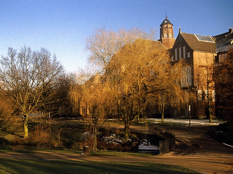 Ольга Ульянова фотография #2