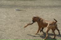 Влад Лазарєв фотография #47 (источник - https://vk.com/id37774731)