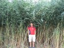 Віктор Ткаченко фотография #4 (источник - https://vk.com/id8721875)