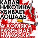 Іван Ковальов фотография #13 (источник - https://vk.com/id56368810)