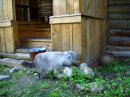 Дмитрий Орлов фотография #48 (источник - https://vk.com/id3779025)