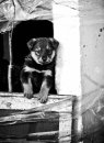 Асиф Зардари фотография #20 (источник - https://vk.com/id42724047)