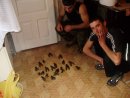 Ельвін Новрузов фотография #12 (источник - https://vk.com/id37941944)