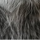 Виктор Арфеев фотография #35 (источник - https://vk.com/id38807040)