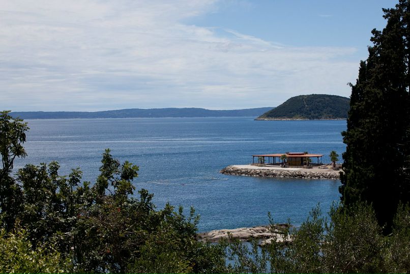 Дмитрий Симоненко фотография #50