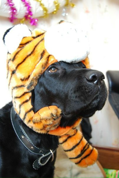 №19, Ирина Белова, Санкт-Петербург, Россия №19, Ирина Белова, Санкт-Петербург, Россия