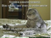 Стьопка Ільків фотография #36 (источник - https://vk.com/id73782671)