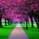 Інна Голішко фотография #8 (источник - https://vk.com/id159256578)