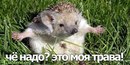 Олег Хван фотография #45 (источник - https://vk.com/id152936198)