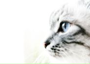 Фотография Воробьевой Людмилы