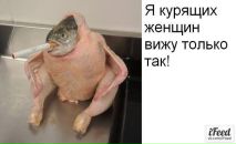 Фотография Колонцова Максима