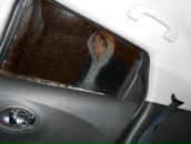 Фотография Васина Екатерина