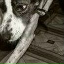 Іван Туренко фотография #12 (источник - https://vk.com/id142138012)