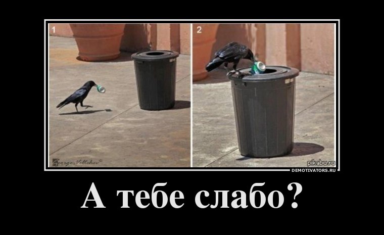 Антон Гоманчук фотография #40