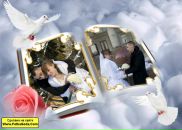 Галина Горемикіна-Шегда фотография #38 (источник - https://vk.com/id30409339)