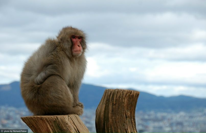 Дмитрий Праслов фотография #24