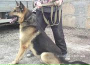 Ярик Сусляк фотография #8 (источник - https://vk.com/id6677792)