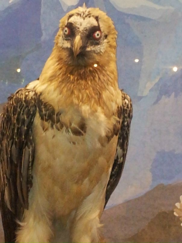 Дмитрий Зыков фотография #41