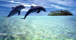 Ігор Ігор фотография #3 (источник - https://vk.com/id1616049)