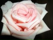 Юлія Кузьмич фотография #40 (источник - https://vk.com/id49447106)