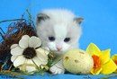 Лєнка Красовська фотография #26 (источник - https://vk.com/id168130652)
