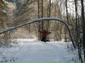 Фотография Авдюшиной Галины